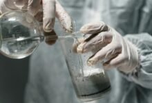 global industry dynamics study